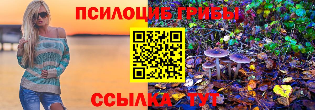 Псилоцибиновые грибы мицелий Ейск